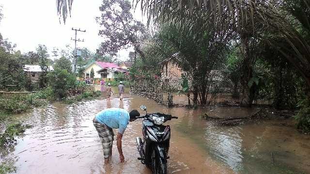 Sungai Aur di Desa Kandang Tabir meluap, akibatnya rumah warga terendam air